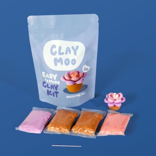 Succulent Clay Kit – Air Dry Foam Clay Craft for Adults & Teens