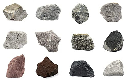 EISCO Rock Cycle Kit - 12 Pieces - Metamorphic, Igneous & Sedimentary Rocks - 1" Specimens - Geology Activity for Ages 8+ (Pack of 2) - size: 1 inch (Pack of 2)