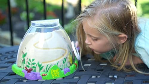 Insect Lore Ant Hill - Ant Habitat with Voucher to Redeem Live Western Harvester Ants - STEM Learning and Education Project for Classrooms or Homeschool