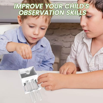 Transparent Mini Ant Farm with Dual Test Tubes for Thriving Ant Colony Observation - color: white
