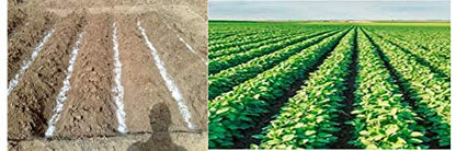 Soil Moist SAP Garden and Lawn Soil Treatment for Improved Water Retention Keep Plant Root Zone Moisture (5)