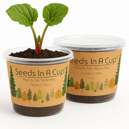 Rhubarb Grow Kit – Seeds In A Cup - Plant Starter Set – Grow Rhubarb from Seed Indoors or Outdoors – Organic Soil & Recyclable Mini Greenhouse – Easy Gardening Gift for Beginners - style: Mini Greenhouse Recyclable Plastic Planter