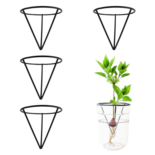 4 Pcs Avocado Seed Starter Rack Gardening Enthusiasts - color: Black