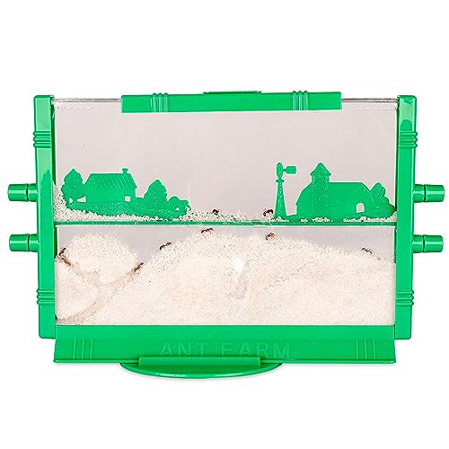 Ant Farm
