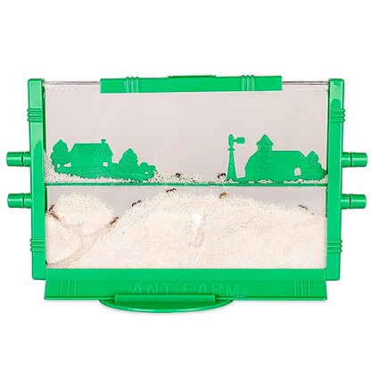 Ant Farm
