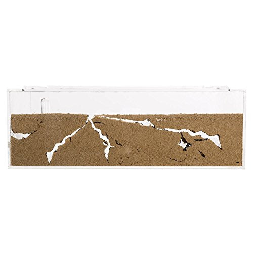 Sand Ant Farm Big - Anthill, Formicarium, Educational, Ants -