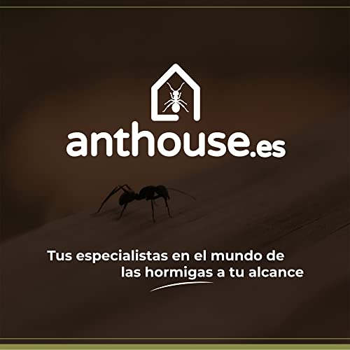 Anthouse.ES - 3D Modular Anthills - QBIK Duo Model - 6.78x12.78x5 cm - Ant Colonies - Terrarium - Cave - size: Cave Type