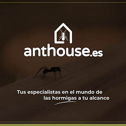 Anthouse.ES - 3D Modular Anthills - QBIK Duo Model - 6.78x12.78x5 cm - Ant Colonies - Terrarium - Cave - size: Cave Type