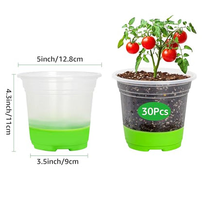 MIXC Clear Nursery Pots with Silicone Base, 5-Inch, 30-Pack - color: Green, size: 5 Inch