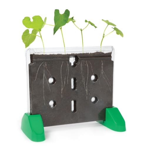 Educational Insights Sprout & Grow Window - See-Through Sprouts Growing Kit, Kids Gardening Set, Kid-Friendly Science Kits, Root Viewer, Gardening Kit for Kids, Indoor Classroom Planter, Ages 5+