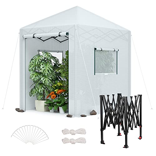 WORKPRO 94" x70" x98" Pop-up Greenhouse for Outdoors - style: 94" Lx70" W x98" H pop up greenhouse(small)