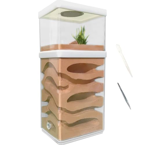 La La Pet Ant Farm Box Detachable Breeding Boxes Plaster Ant Home for Students Study Ant Behavior Observation Educational Formicarium Ant Nest Farm