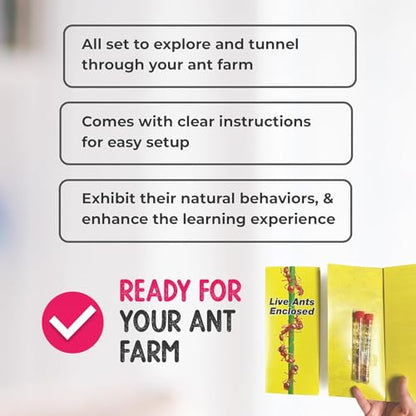 25 Live Ants for Ant Farms (1 Tube) with 10 oz Ant Farm Sand Refill - style: 25 Live Ants+Sand