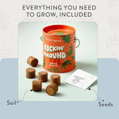 Modern Sprout Complimentary Color Grow Kits - Seed Starter Kit, Pack of 3 - size: Pack of 3