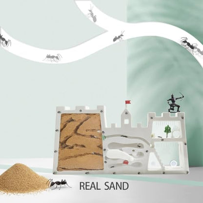 Ant Farm for Kids, Large Ant Farm Castle Kit with Sand and Accessories