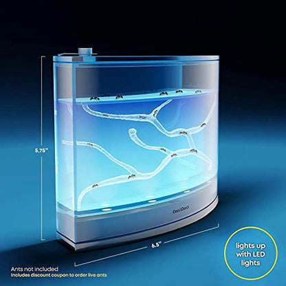 Dan&Darci Light-up Ant Farm Terrarium Kit for Kids – LED Habitat for Live Ants with Nutrient Rich Gel - Watch Them Dig Their Own Tunnels - Learning Science Toys, Experiment Gift for Boys & Girls