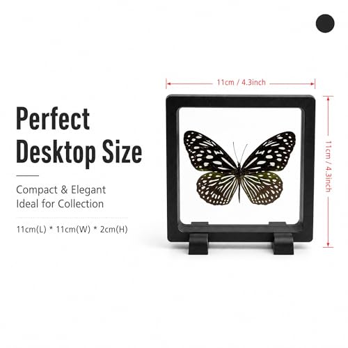 1pc 3D Suspension Frame with Real Butterfly Specimen Protective PE Film Box Creative Home Decor Collectible (Tirumala limniace Butterfly) - color: Tirumala Limniace Butterfly