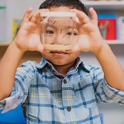 Insect Lore Cup of Caterpillars - 5 Live Painted Lady Caterpillars with Food - Refill for Butterfly Garden Kit - Chrys-A-Lid Holding Log Included - STEM Learning Activity