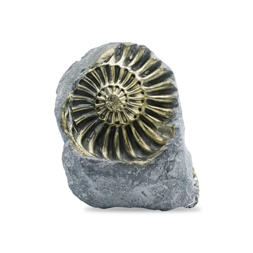 Starborn Rare Collector's Fossils - style: Brass Ammonite Negative