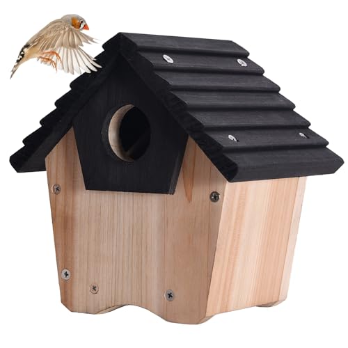 NATUREYLWL DIY Wooden Birdhouse Kit with Side Access