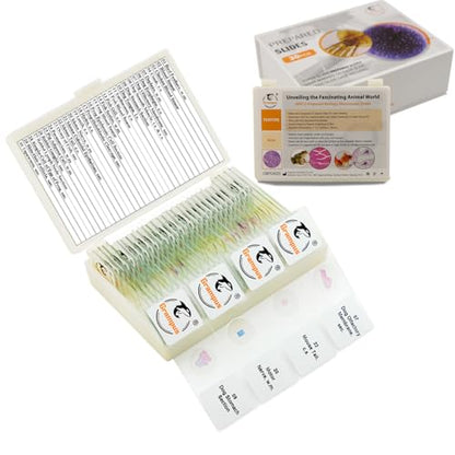 30 Prepared Microscope Slides with Specimens for Kids Students - Animal Microscope Slide Sets for Biological Lab, Children's Science Education, Homeschooling - style: 30PCS Animals