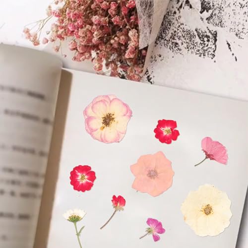 50Pcs Dried Pressed Flowers Real Pressed Flowers Natural Dry Leaves Bulk Mixed Colorful Herbs Kit with Tweezers for Scrapbooking DIY Candle Jewelry Crafts Making Nails (Pink) - color: Pink