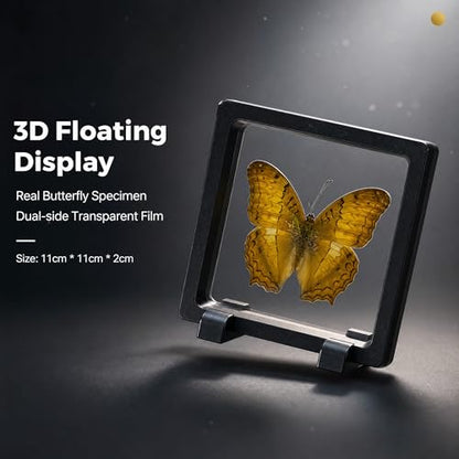 1pc Real Butterfly Specimen PE Film Suspension Box Transparent Floating Jewelry Box Style Display for Souvenir Art Collection (Vindula erota Butterfly) - color: Vindula Erota Butterfly
