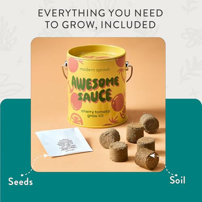 Modern Sprout Complimentary Color Grow Kits - Seed Starter Kit, Pack of 4 - size: Pack of 4