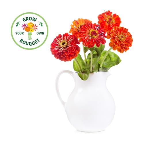 Back to the Roots Organic Zinnia Flower Grow Kit with Plantable Starting Pot Soil and Seeds - size: 5 inches, style: Zinnia Flower Kit