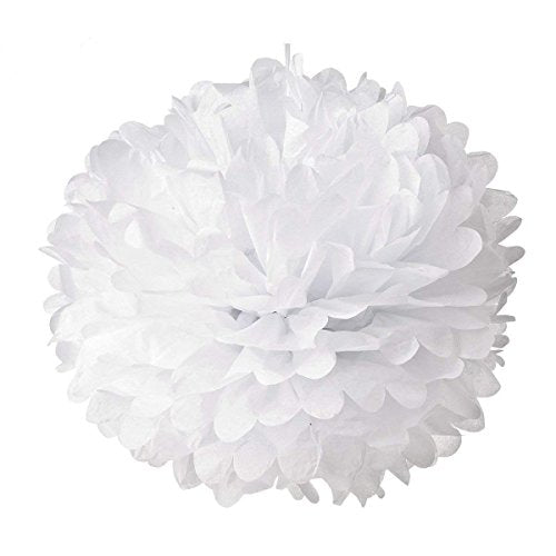 10pcs White Tissue Hanging Paper Pom-poms, Hmxpls Flower Ball Wedding Party Outdoor Decoration Premium Tissue Paper Pom Pom Flowers Craft Kit - color: White
