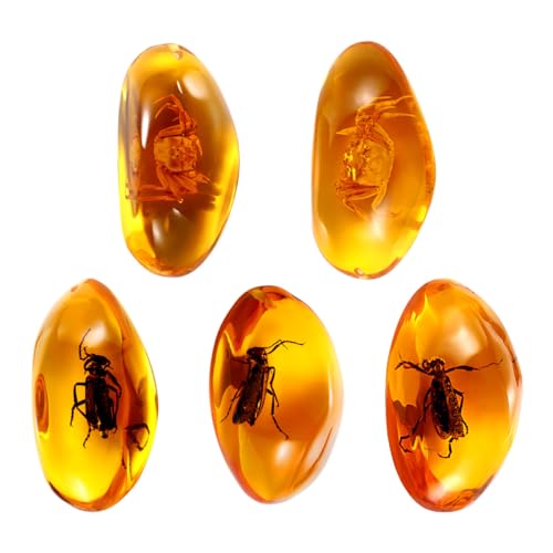 Amber Insect Specimens, 5 Pcs Unique Resin Stones with Real Bugs, Perfect for Jewelry Making, DIY Crafts, Home & Classroom Decor, Ideal Science Gifts for Kids & Adults