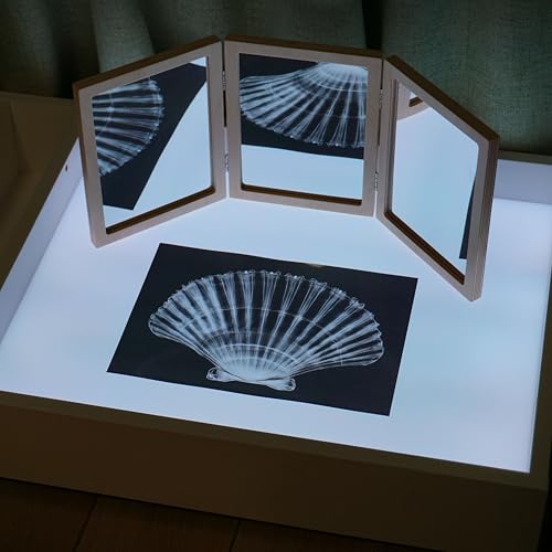 Animal X-Ray Set, Educational Science Kit, Light Table Accessory for Children (Insects) - style: Insects