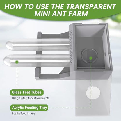 Transparent Mini Ant Farm with Dual Test Tubes for Thriving Ant Colony Observation (Gray) - color: Gray