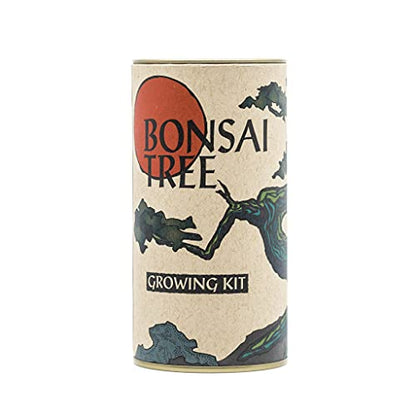 Bonsai Tree | Rocky Mountain Juniper | Seed Grow Kit | The Jonsteen Company