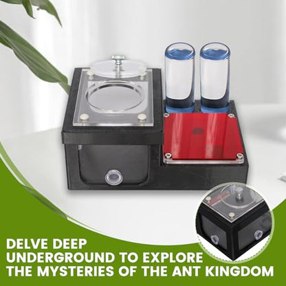 Ant Farm Nest - Educational Habitat - Black and White Acrylic Design with Built-in Water Tower and Clear Observation Area (S) - size: S
