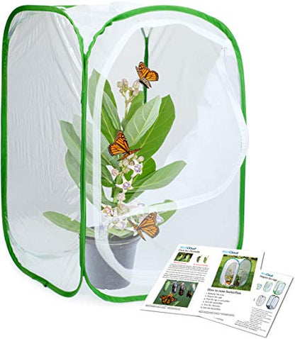 3-Pack Insect and Butterfly Habitat Cage Terrarium Pop-up Butterfly Enclosure (3 x 15.7 x 15.7 x 23.6")
