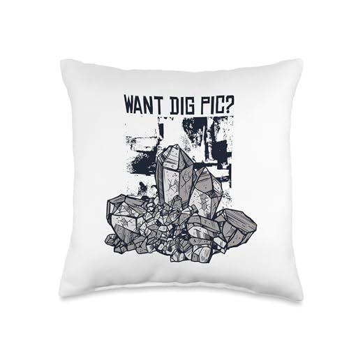 Best Rocks And Minerals Guide Kit Collection Gifts Want Dig Pic Geologist Stone Mineral Collector Throw Pillow, 16x16, Multicolor - size: 16x16