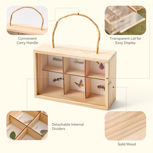 Wooden Scavenger Hunt for Kids Ages 4-8, 6-in-1 Explorer Kit, Bug Catching Kit with Scavenger Hunt Cards, Storage Box, Dice, Magnifying Glass, Indoor/Outdoor Games for Kids Ages 4+