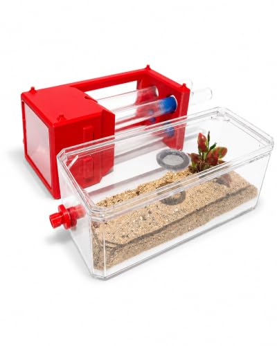 Desktop Ant Farm (red) - color: red