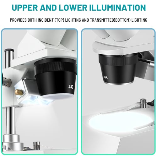 Stereo Microscope，Binocular Microscope, WF10x and WF20x Eyepieces, 10X-80X Magnification, Upper and Lower LED Light Source, Pillar Stand,120V Power Supply and Lithium Battery
