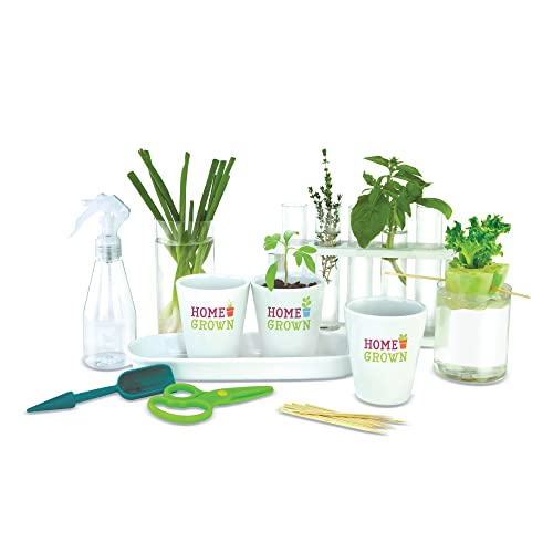 Home Grown Hydroponic Growing Kit - Tools & Instructions for No-Waste Kitchen Gardening. Ages 8 and up.