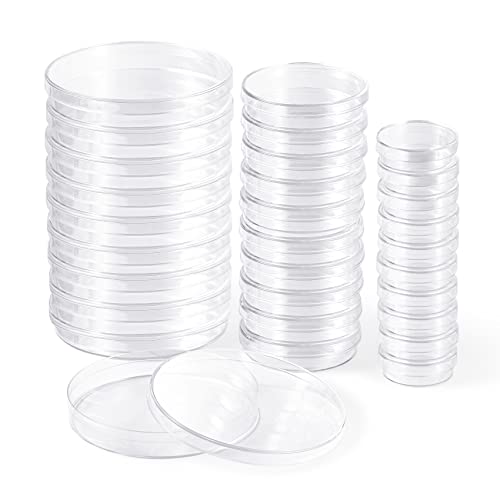 10 Pack Plastic Petri Dishes with Lid 35mm Dia x 10mm Deep, Annhua Petri Plates Culture Dishes Tissue Culture Plate with Cover, Used for Laboratory Analysis and Microbiology Studies - size: 35mm