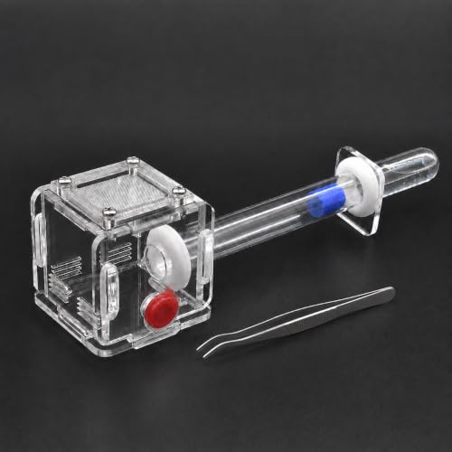 Mini Queen Ant Nest with Test Tube 2 x 2 x 2 Inch 18X180MM Transparent Acrylic Ant Farm for Small Colonies Starter Habitat Observation Formicarium - size: 18mm