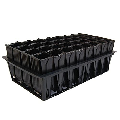 Deep Kit - Seed and Cutting Propagation (32 Cell, 5 inch)
