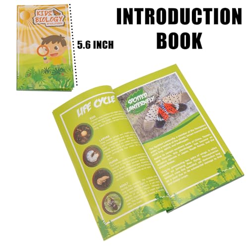 Insect Specimen Set, Bugs Collection Scientific Education Gift for Kids Aged 3-8-12 (Spider, Scorpion, Cricket, Chafers, Stink Bug, Spotted Lanternfly Resin Collection) - style: Spider, Scorpion, Cricket, Chafers, Stink Bug, Spotted Lanternfly Resin Colle