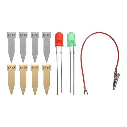 PATIKIL 4 Set Fruit Battery Fruit Battery Light Science Kit DIY Experiment