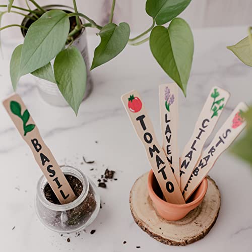 9 Inch Paint Sticks, Box of 250 Hardwood Paint Stirrers, Wood Mixing Paddles for Epoxy or Resin, Garden or Library Markers by Woodpeckers - size: 9 inch