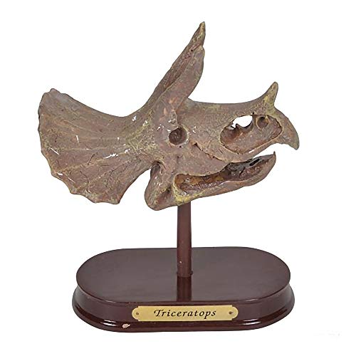 ArtCreativity Dinosaur Excavation Kit for Kids, 5.5” Triceratops Skull Excavating Set with Fossil Digging Tools and Stand, Fun Science Activity Toy, Educational Dinosaur Gift for Boys and Girls - style: Triceratops
