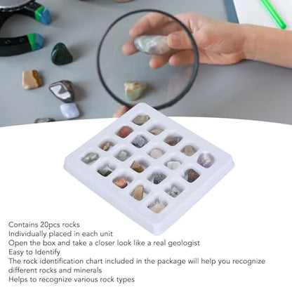 Rock Collection Kit, 20pcs Gems and Crystal Mineral Science Educational Kit with Identification Chart, Geology Learning Tool for Kids Adults Classroom Home Study (Original Rock Set 2)