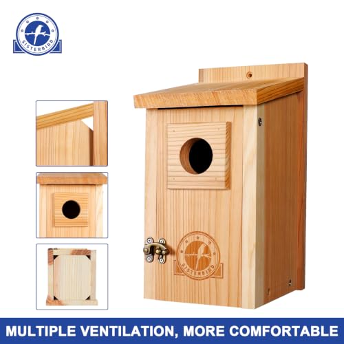 SISTERBIRD 2 Pack Blue Bird Houses for Outdoors, Warming Gifts Bird House - color: Burly Wood -- 2PK